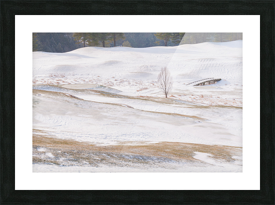 DL100203 29 Picture Frame print