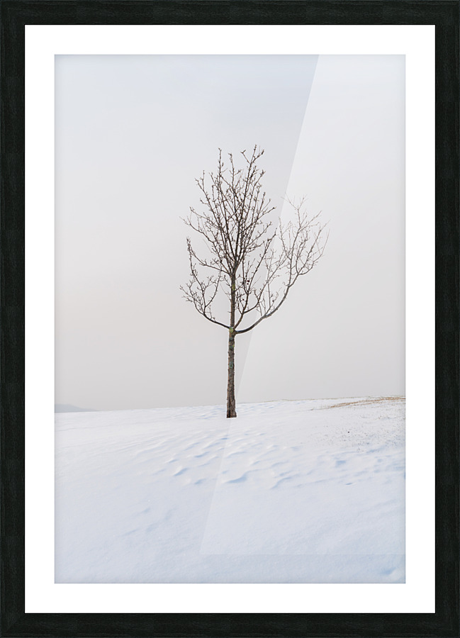 DL100203 38 Picture Frame print