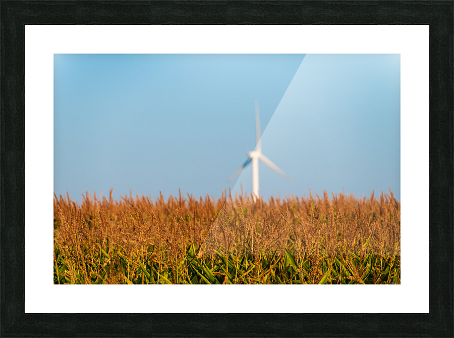 DL100823 015 Picture Frame print