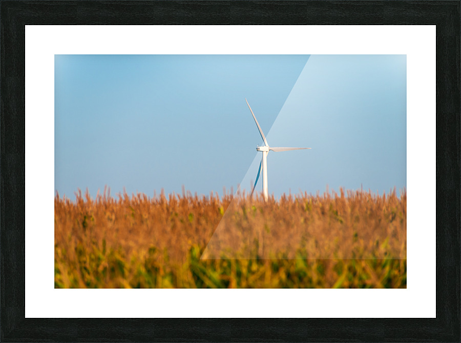 DL100823 016 Picture Frame print