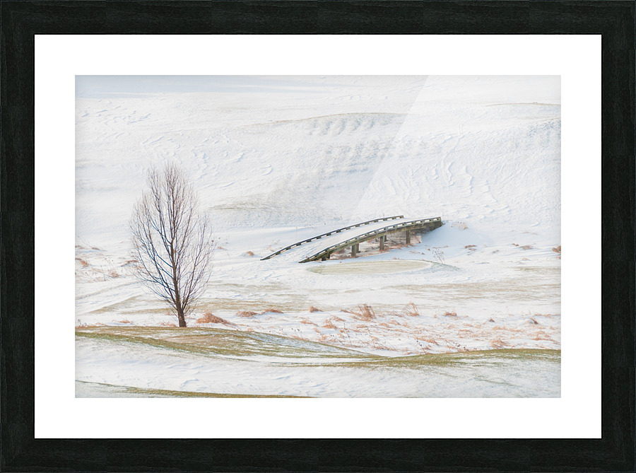 DL100203 25 Picture Frame print