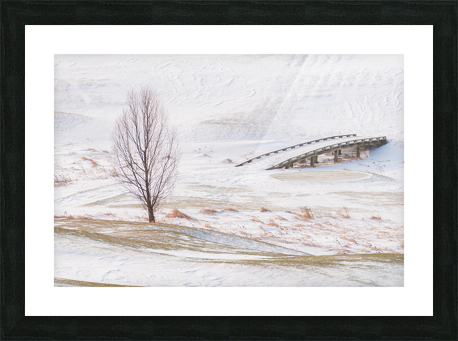 DL100203 31 Picture Frame print