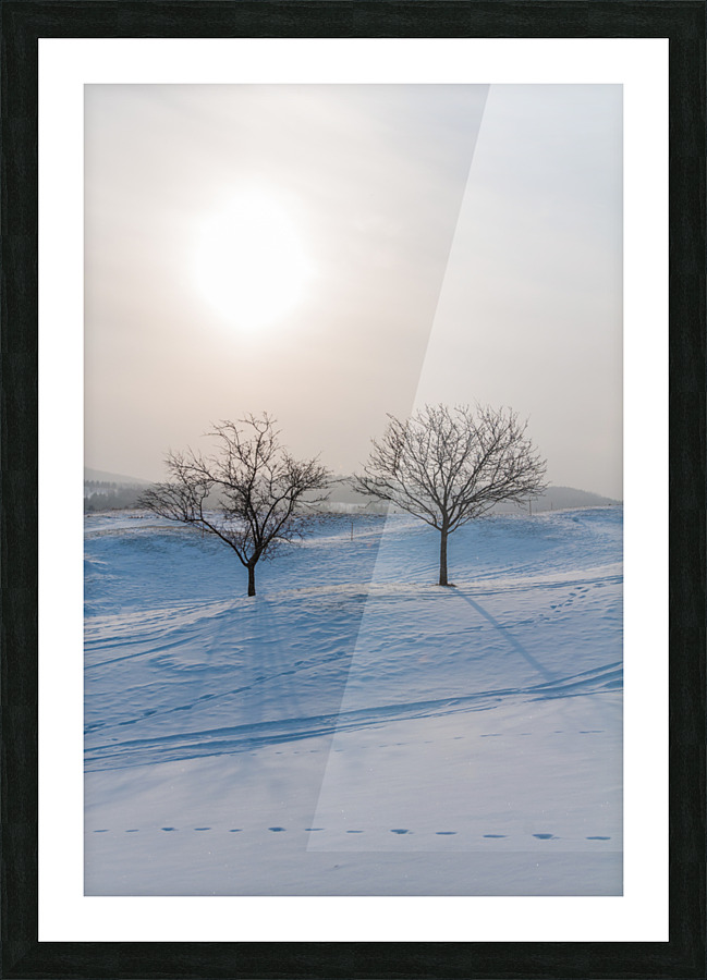 DL100203 10 Picture Frame print