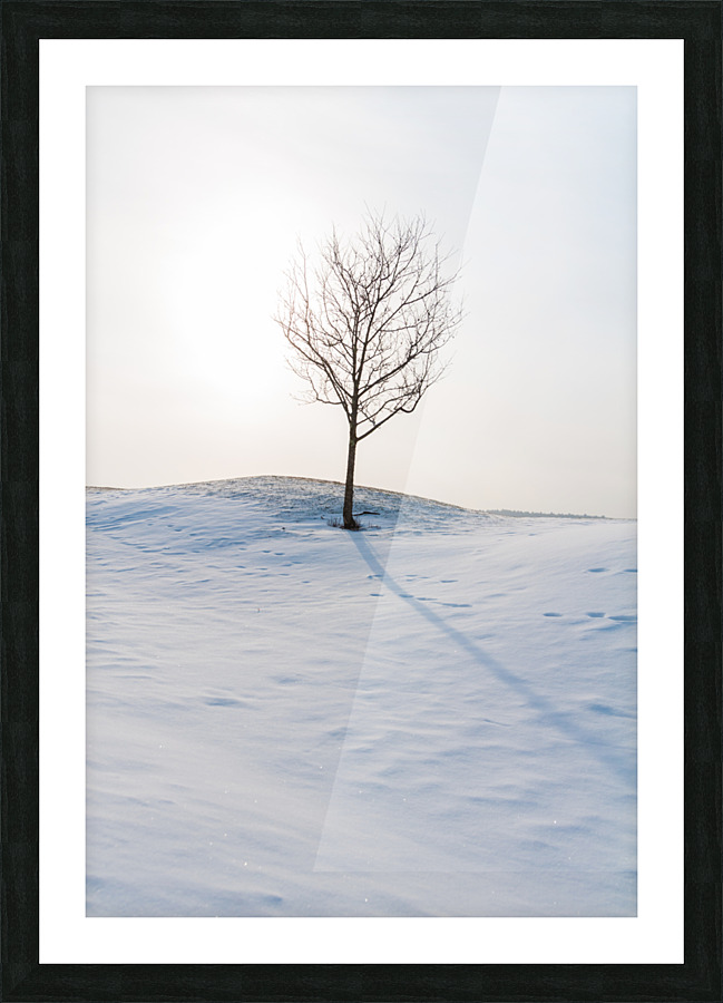 DL100203 43 Picture Frame print