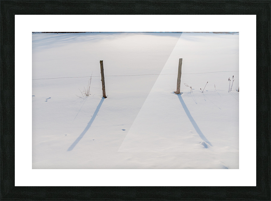 DL100203 52 Picture Frame print