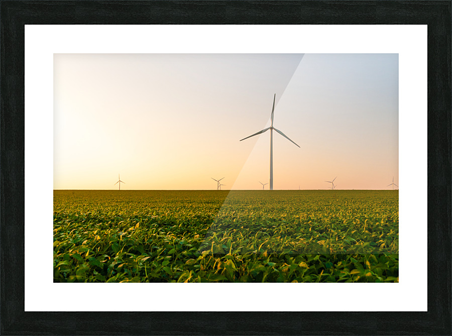 DL100823 093 Picture Frame print