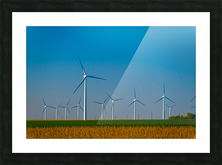 DL100823 026d Picture Frame print