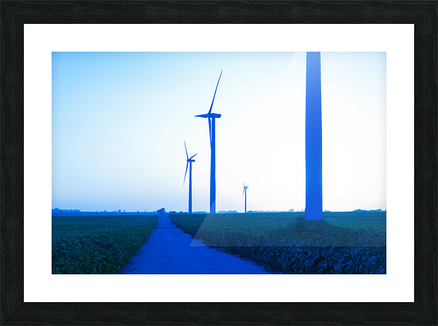 DL100823 118 Picture Frame print