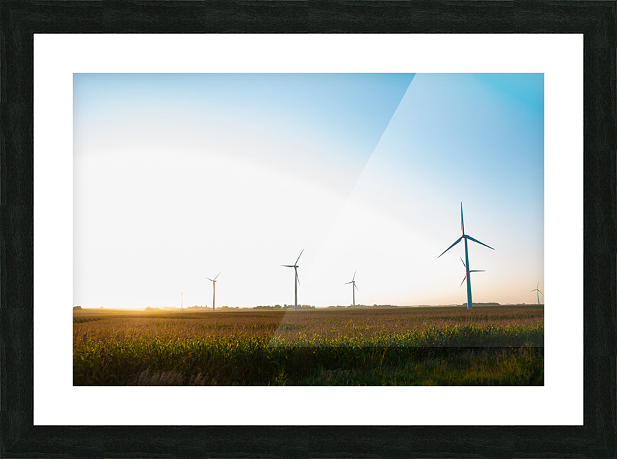 DL100823 049 Picture Frame print