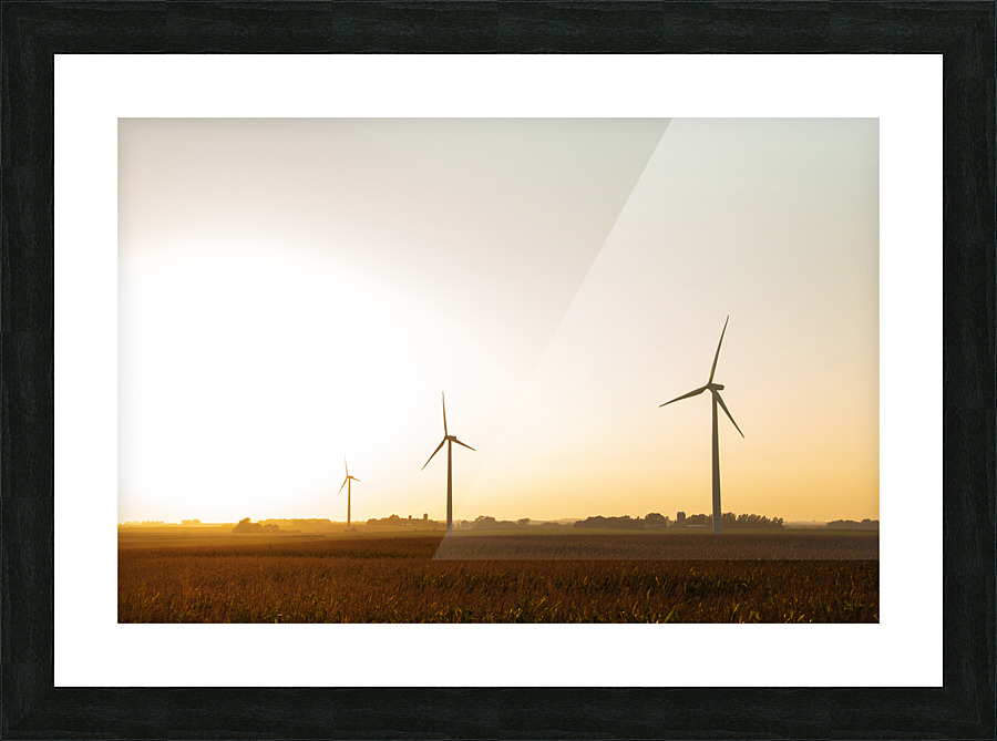 DL100823 051 Picture Frame print