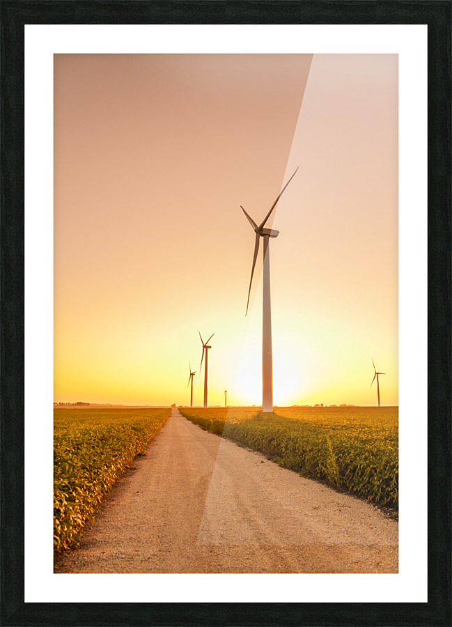 DL100823 109b Picture Frame print