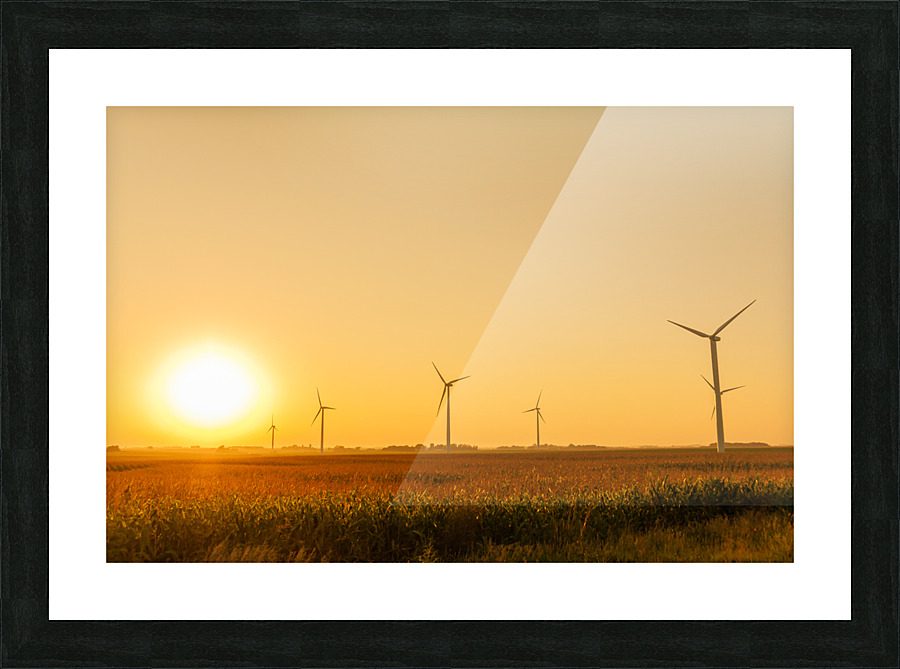DL100823 048a Picture Frame print