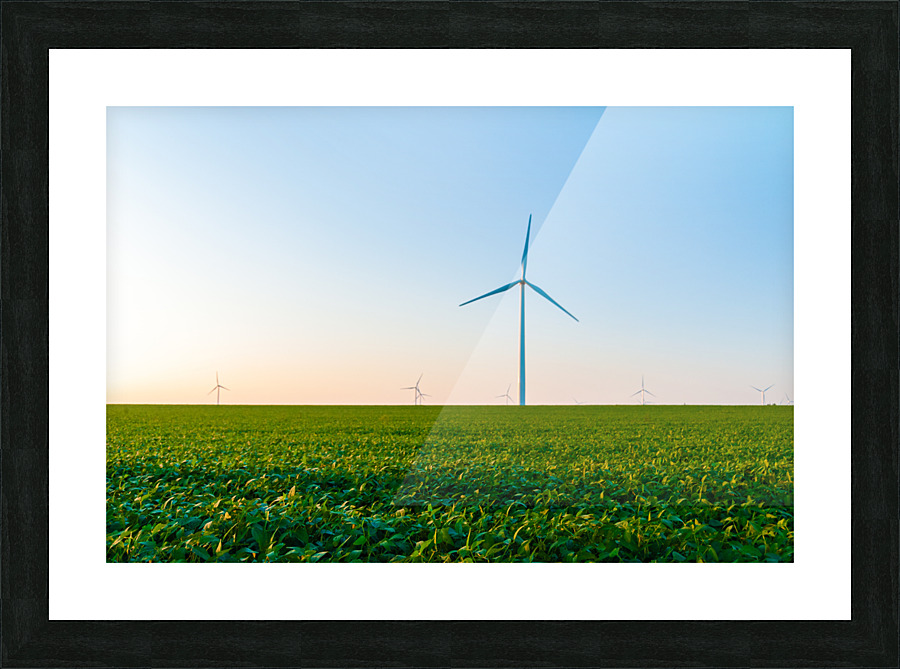 DL100823 094 Picture Frame print