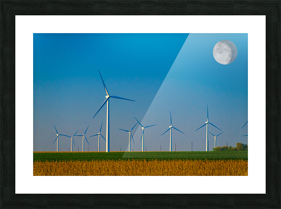 DL100823 026e Picture Frame print