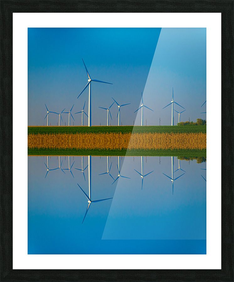 DL100823 026f Picture Frame print