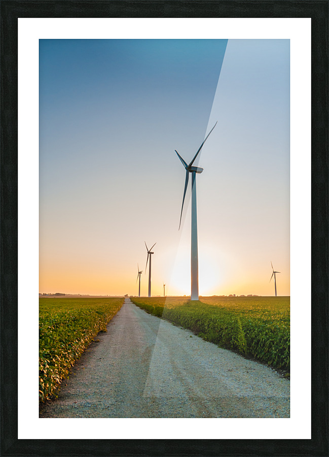 DL100823 109 Picture Frame print