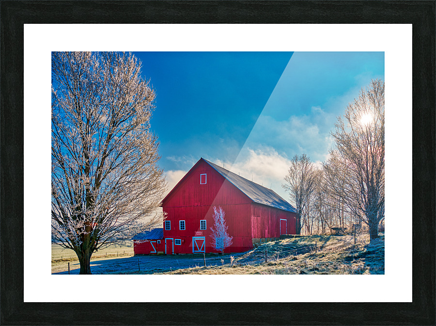 DL101103 322a Picture Frame print