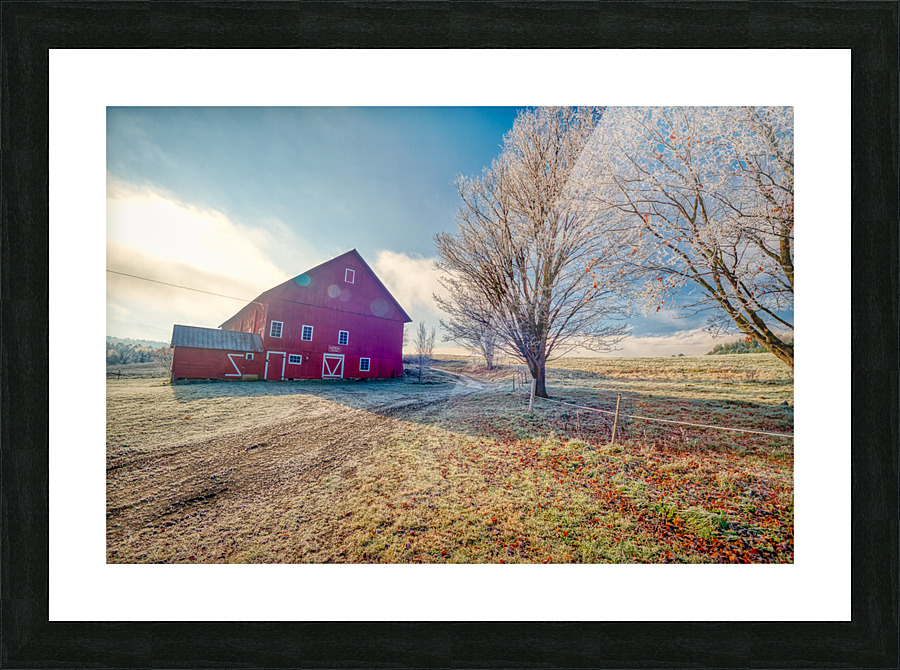 DL101103 274a Picture Frame print