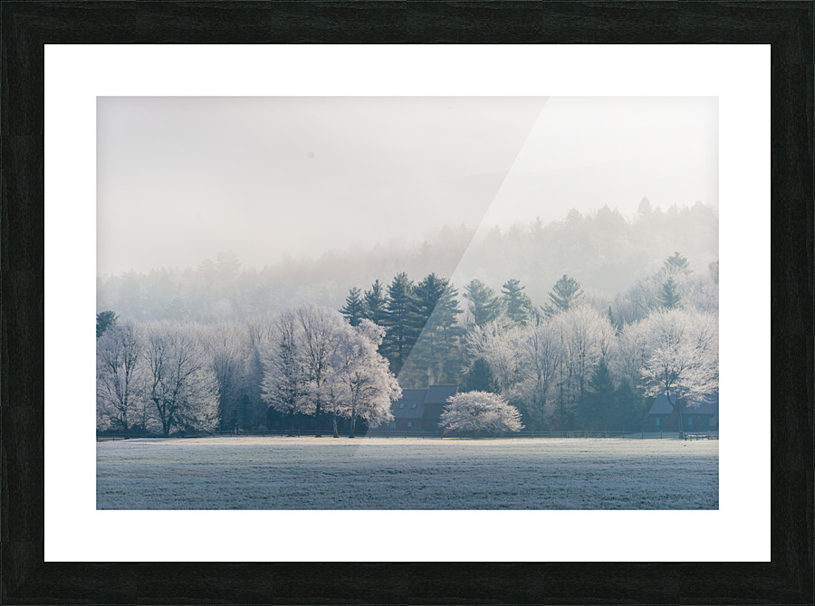 DL101103 236 Picture Frame print