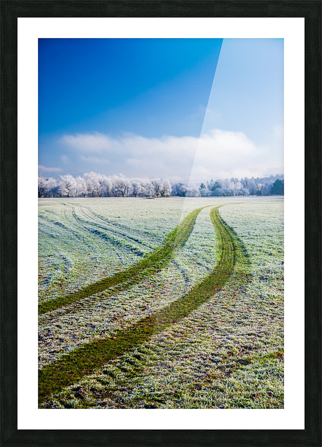 DL101103 341 Picture Frame print