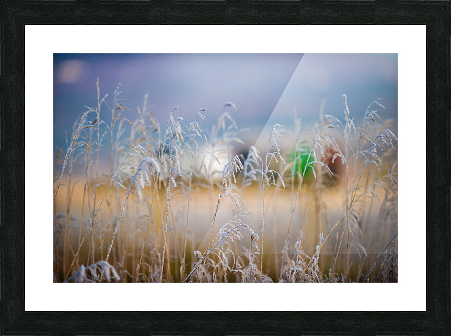 DL101103 240 Picture Frame print