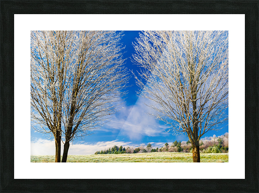 DL101103 296 Picture Frame print