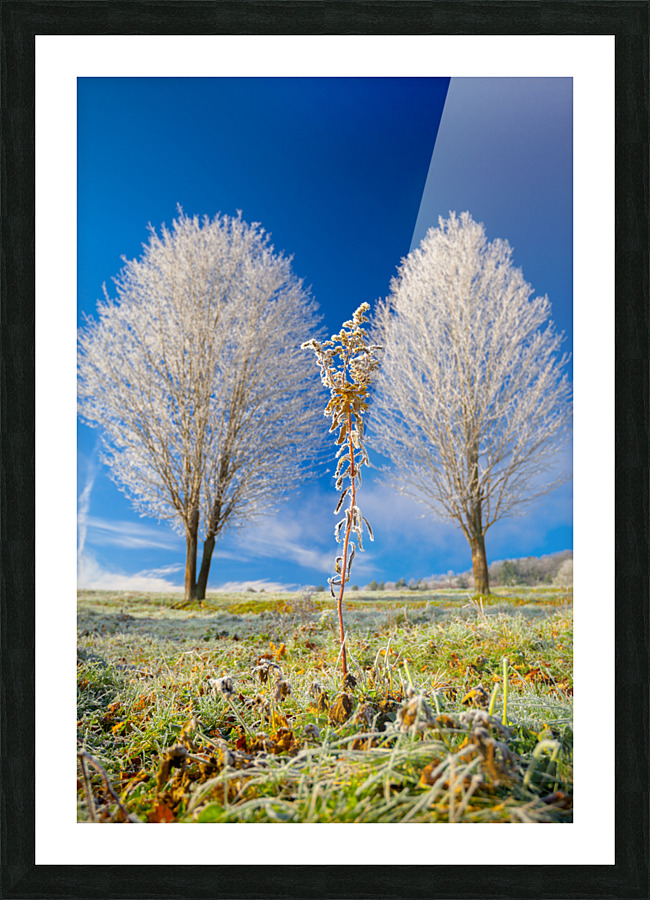 DL101103 307 Picture Frame print