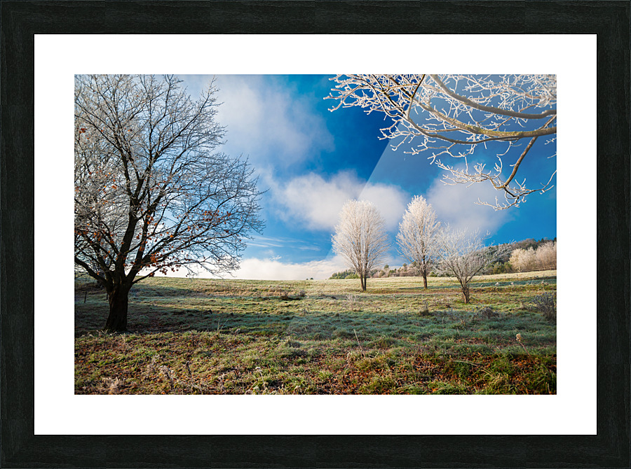 DL101103 264 Picture Frame print