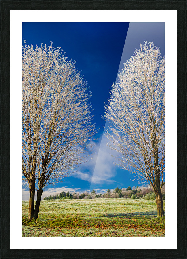 DL101103 302 Picture Frame print