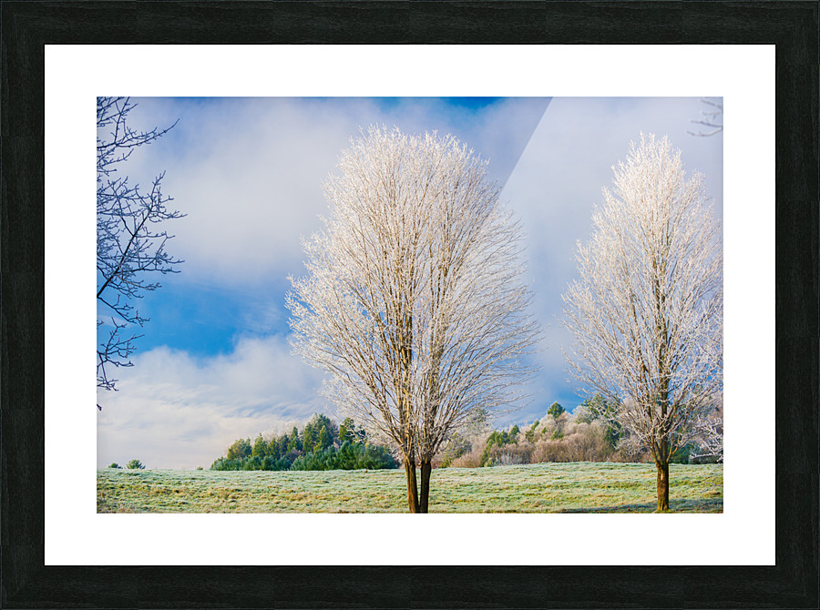 DL101103 259 Picture Frame print