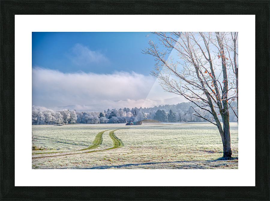 DL101103 332a Picture Frame print