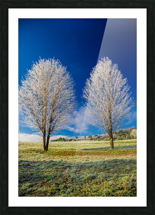 DL101103 301 Picture Frame print