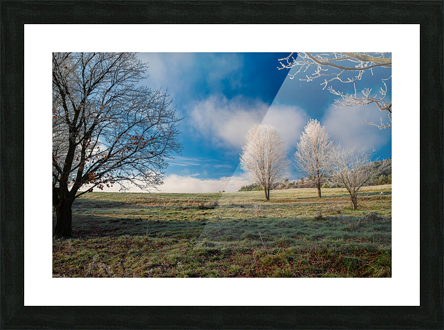 DL101103 267 Picture Frame print