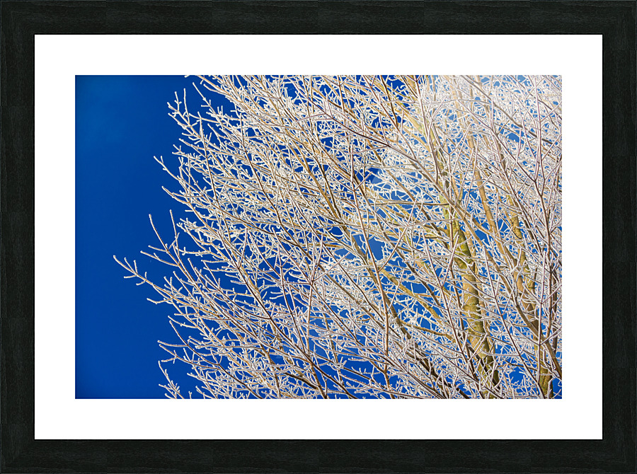 DL101103 258 Picture Frame print