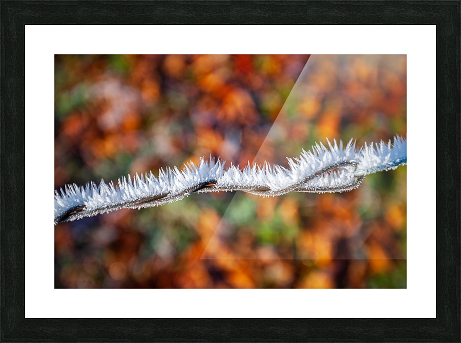DL101103 285 Picture Frame print