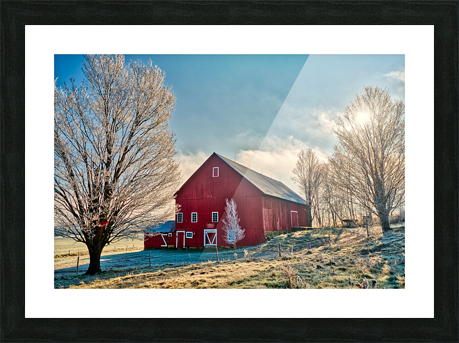 DL101103 313a Picture Frame print