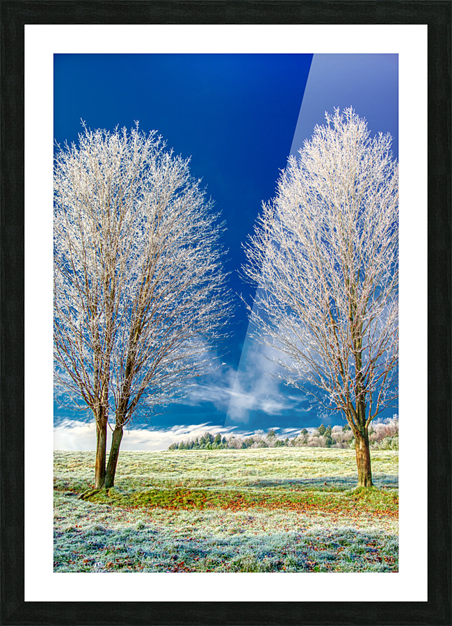 DL101103 295a Picture Frame print