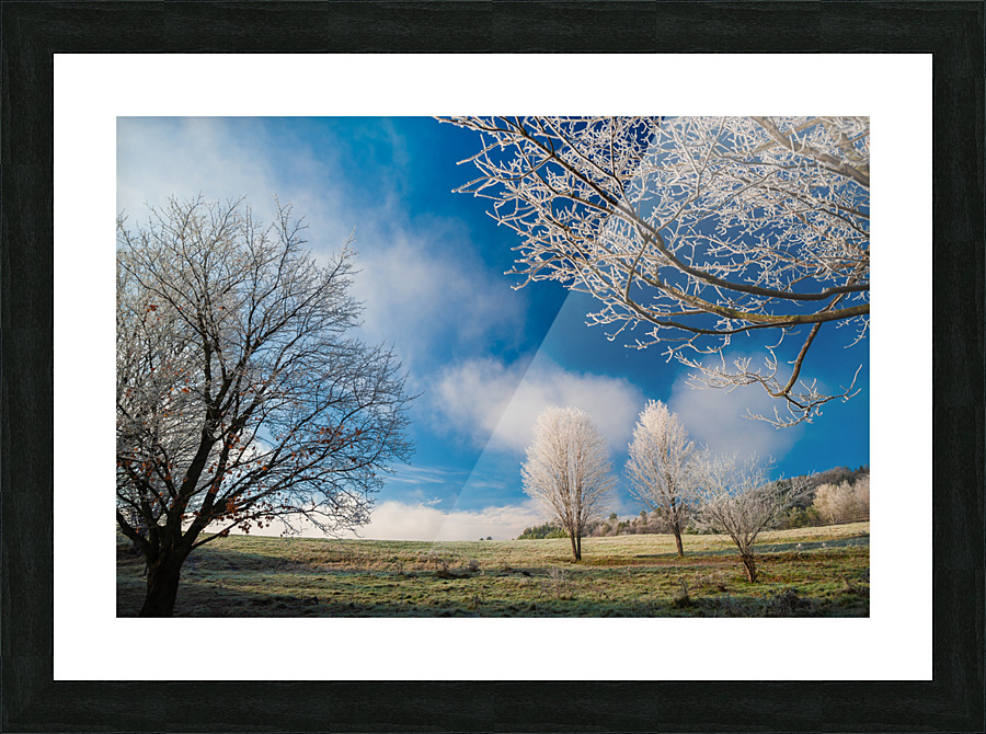 DL101103 266 Picture Frame print