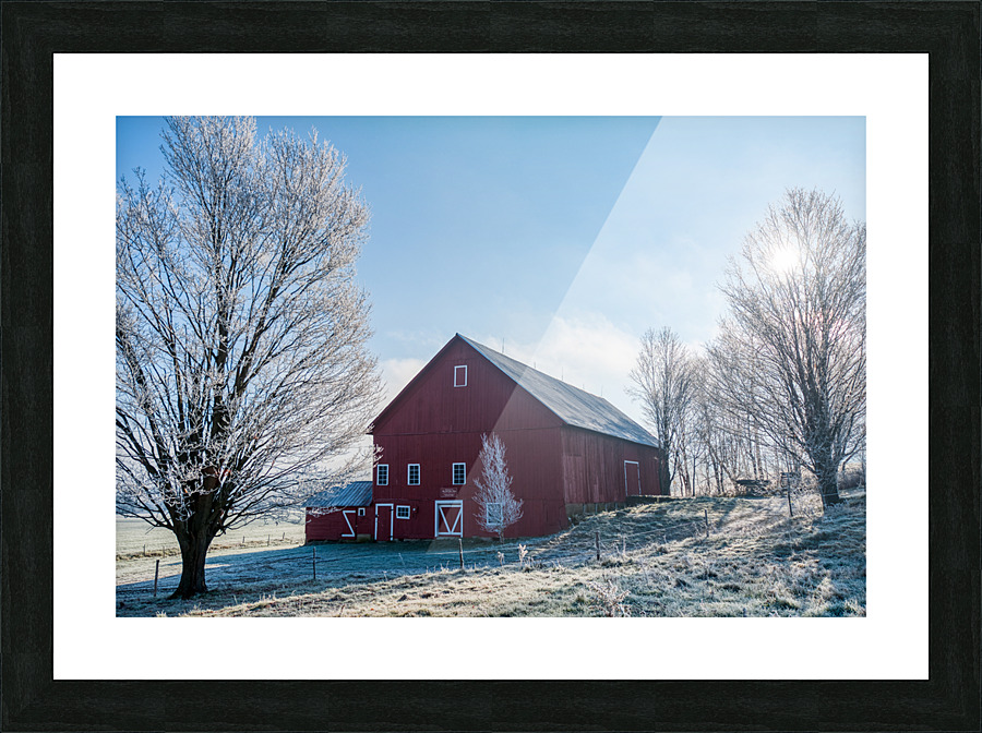DL101103 322b Picture Frame print