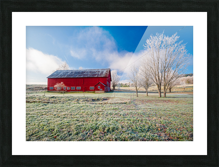 DL101103 272 Picture Frame print