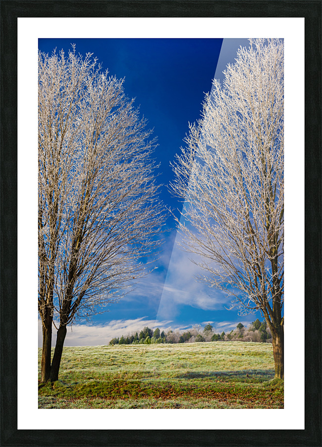 DL101103 289 Picture Frame print