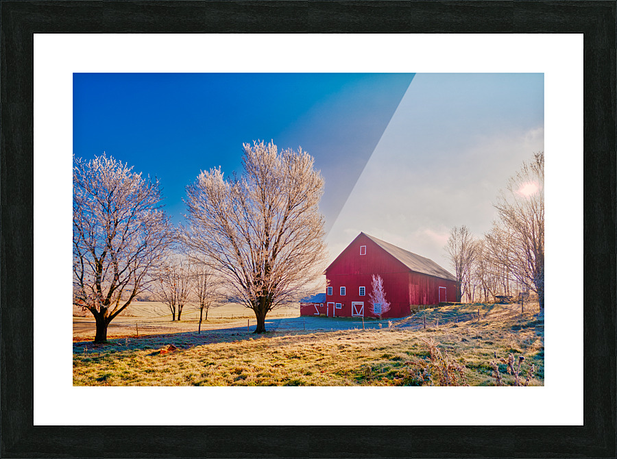 DL101103 318a Picture Frame print