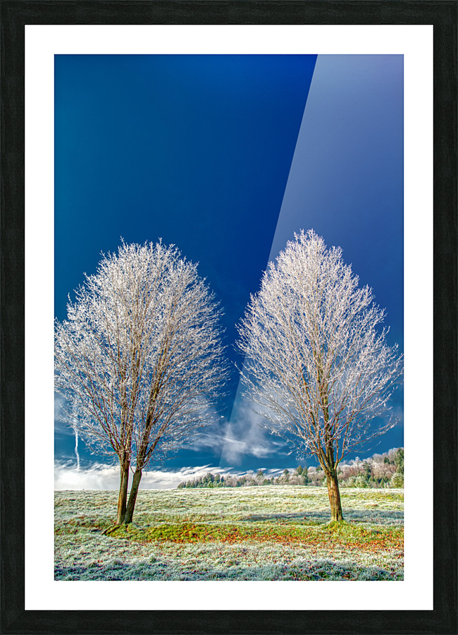 DL101103 294a Picture Frame print