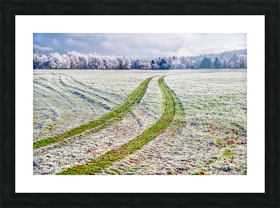 DL101103 338b Picture Frame print