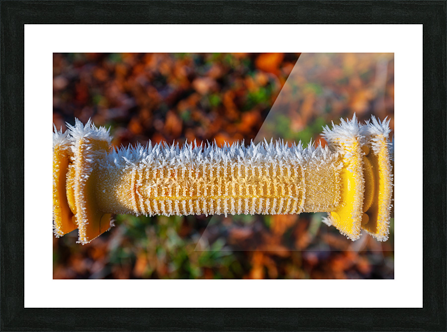 DL101103 279 Picture Frame print