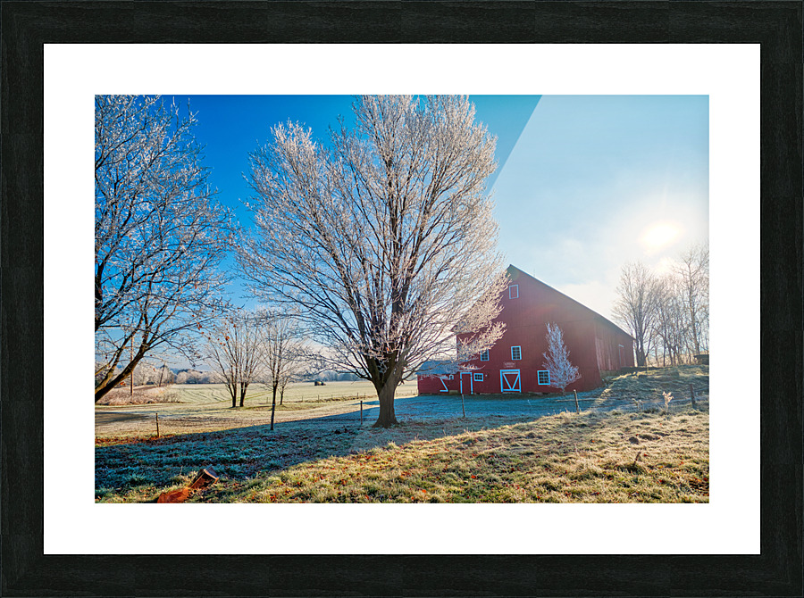DL101103 327a Picture Frame print