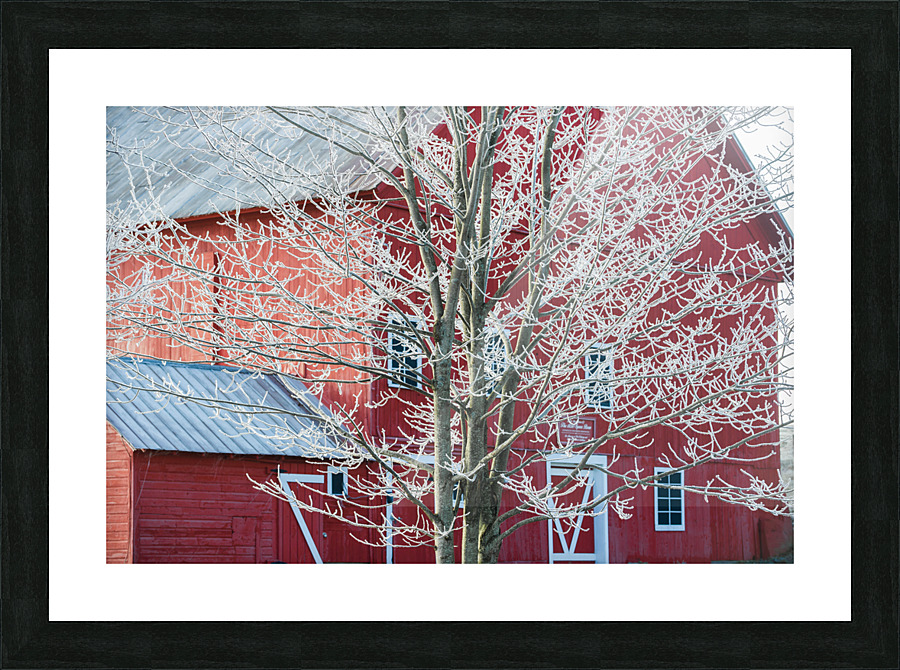DL101103 234 Picture Frame print