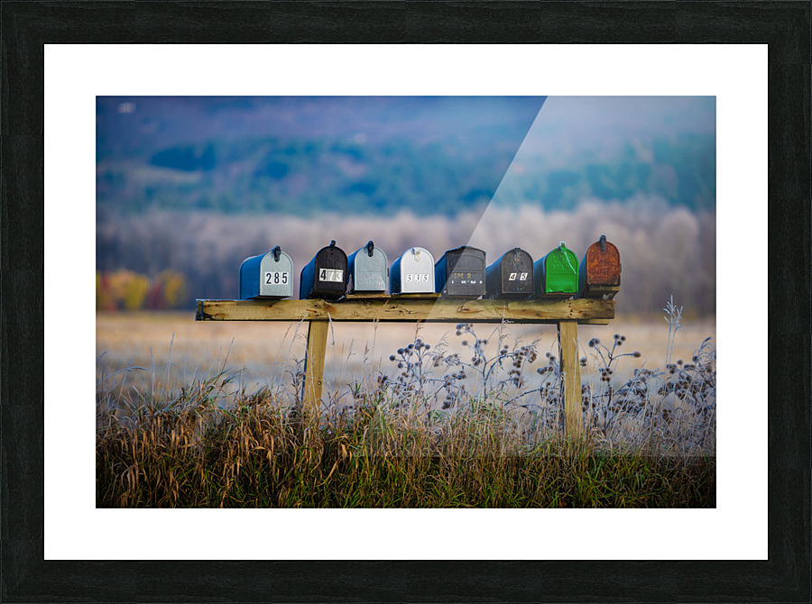 DL101103 239 Picture Frame print