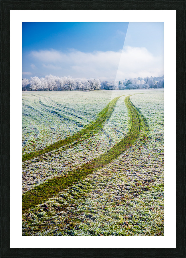 DL101103 342 Picture Frame print