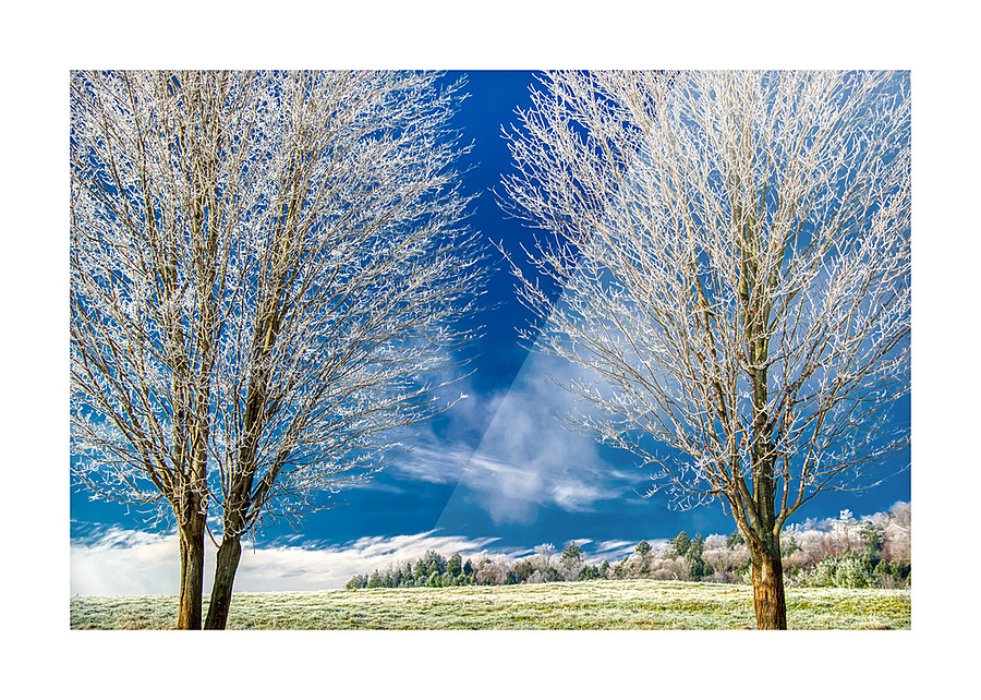 DL101103 296a Picture Frame print
